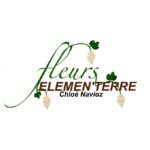 Fleurs Elémen'Terre